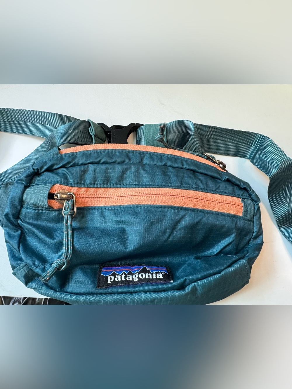 Patagonia Mini Hip Pack Waist or Chest Pack 
Teal Nylon Ripstop. 2 zip pockets